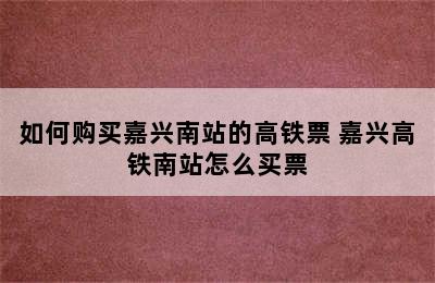 如何购买嘉兴南站的高铁票 嘉兴高铁南站怎么买票